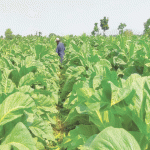 230727090b698d9 - Copy