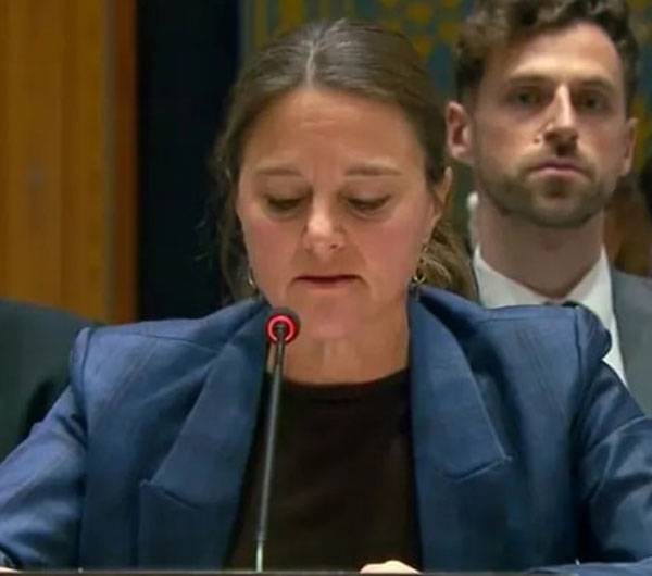 afghan-backed-ttp-serious-threat-pak-security-unsc-panel-1763698086-8160