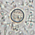 1423183136e6aab