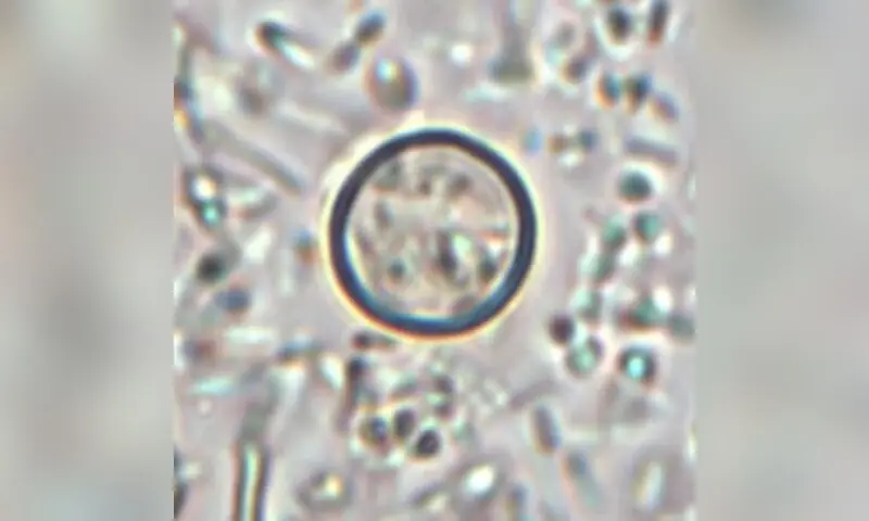 1423183136e6aab